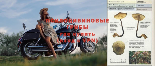 метадон Верея